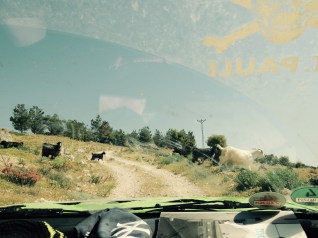 ein gerillter Pfad mit Ziegen durch die Windschutzscheibe fotografiert